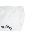 Sp5der AOP Web Sweatpant 'Grey' Front Close View (1)