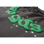 Sp5der-Wait-Web-Sweatpant-Slate-Green-close-view-3